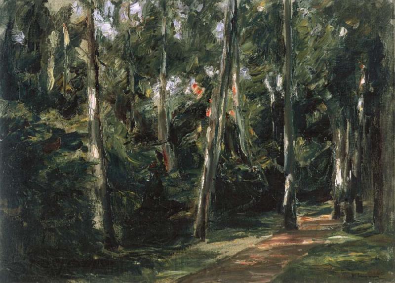 Max Liebermann The Birch-Lined Avenue in the Wannsee Garden Facing Southwest Norge oil painting art